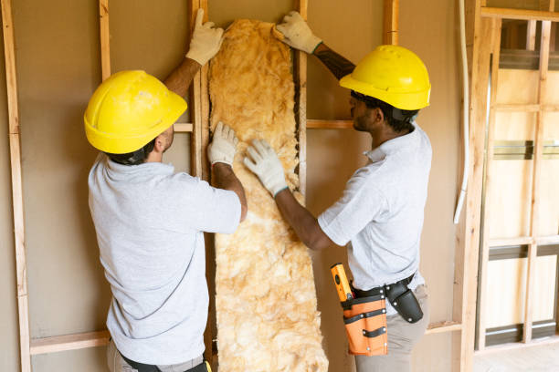 Reliable Fruitland, MD Insulation Solutions